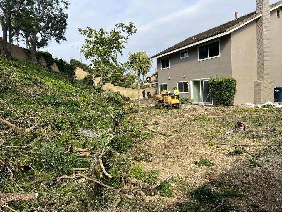 Cleared residential backyard with excavation equipment and prepared soil ready for construction